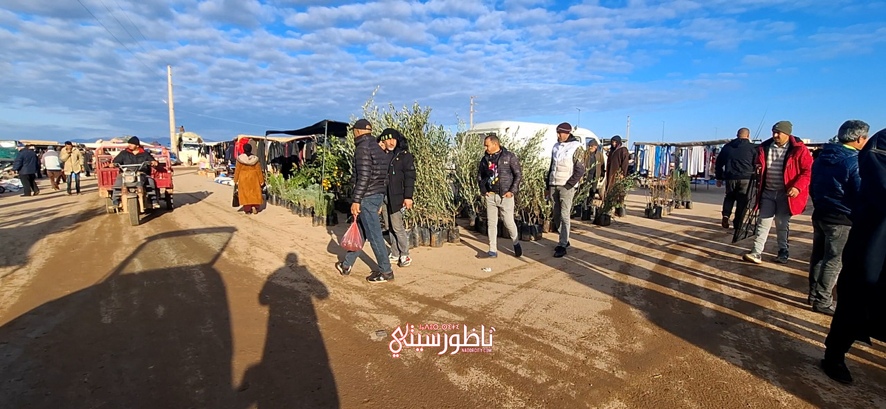 Sequence-02-00-00-39-16-Still006