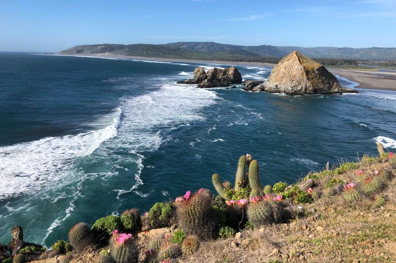 Costa rocosa con cactus y una gran roca en el mar en Litueche