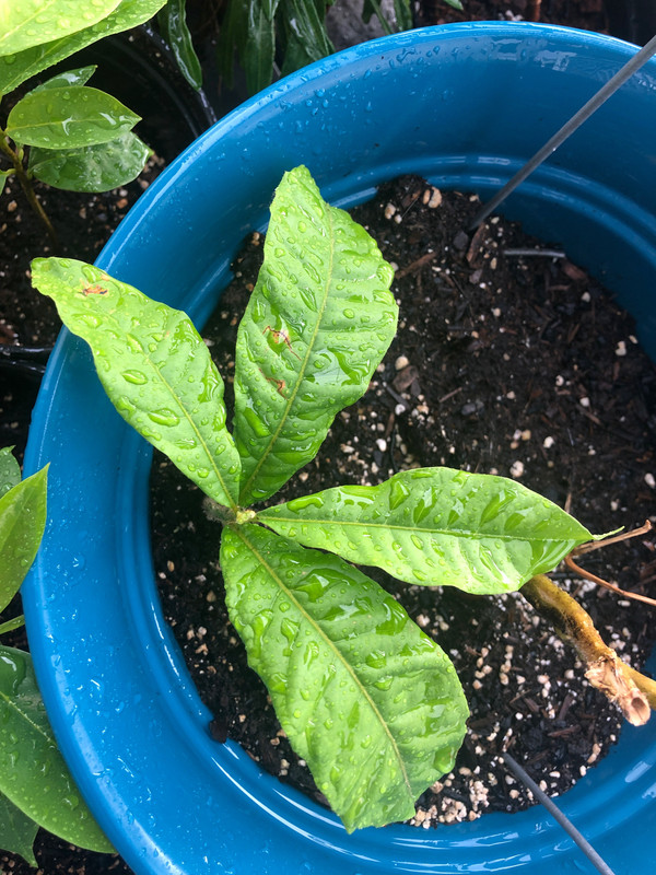 DA02BEB0-49EE-4AEF-957D-F08238BC3EFC