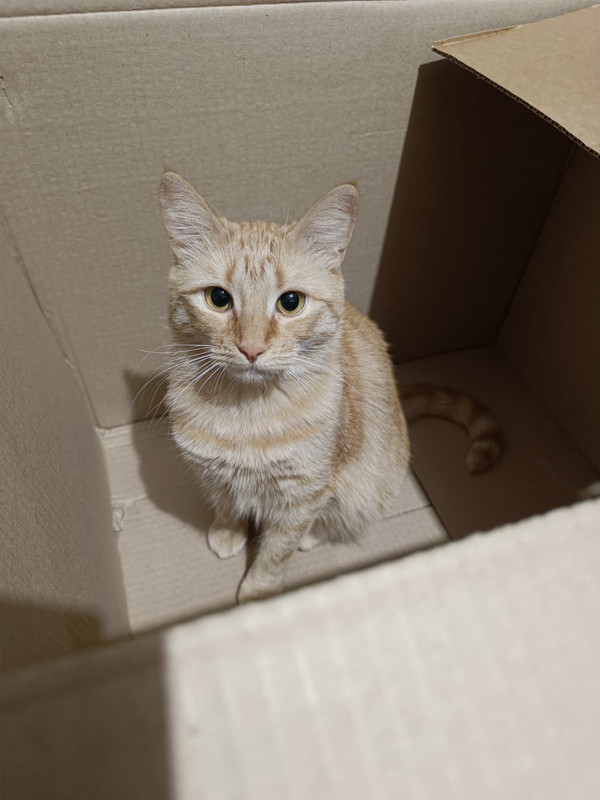 IMG 00271eb8ba49883c4a1a5c22d904fea9 V