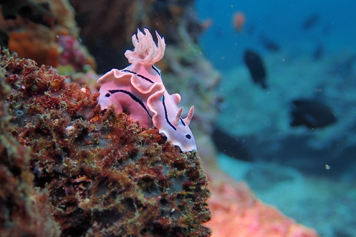 0160F8DE-13C2-44F3-BE2D-CFC0BD29EF17