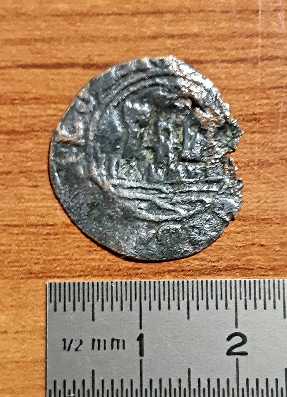 Ayuda a la identificación (¿ceitil?) 20190922-222644