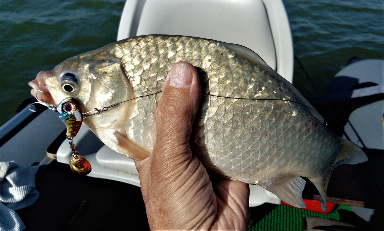 DSC_0977 — копия