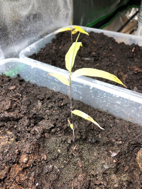 60080839518__383686C7-6C87-4E1F-908F-5CD022645E71