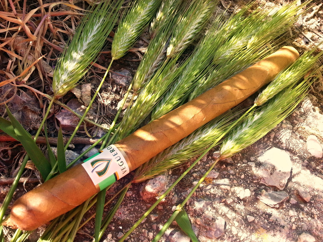 16545097993_143beac584_o