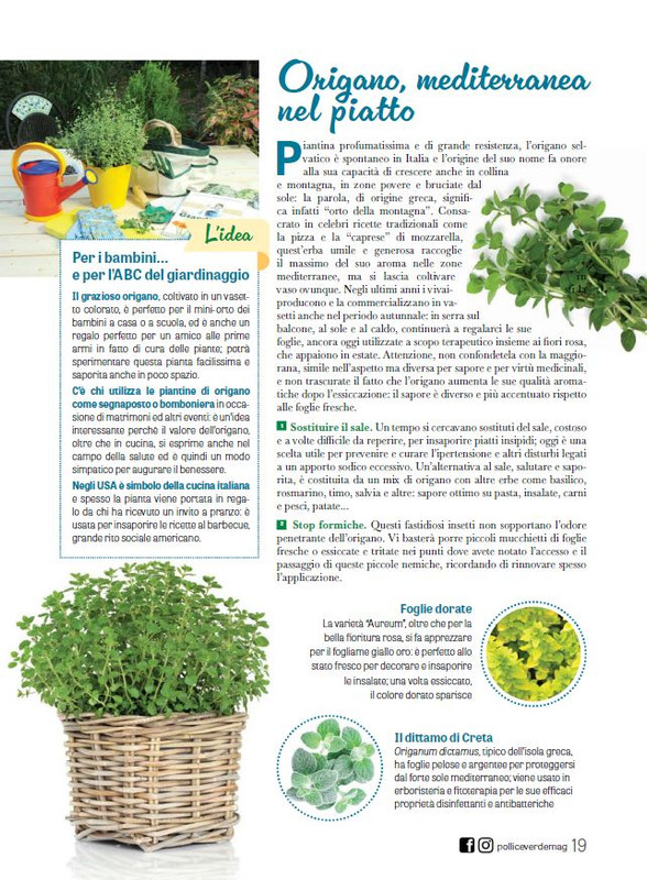 Pol Ver Mag 2024 (6)