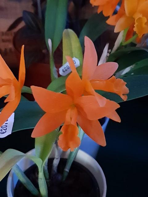 20190209-103258.jpg