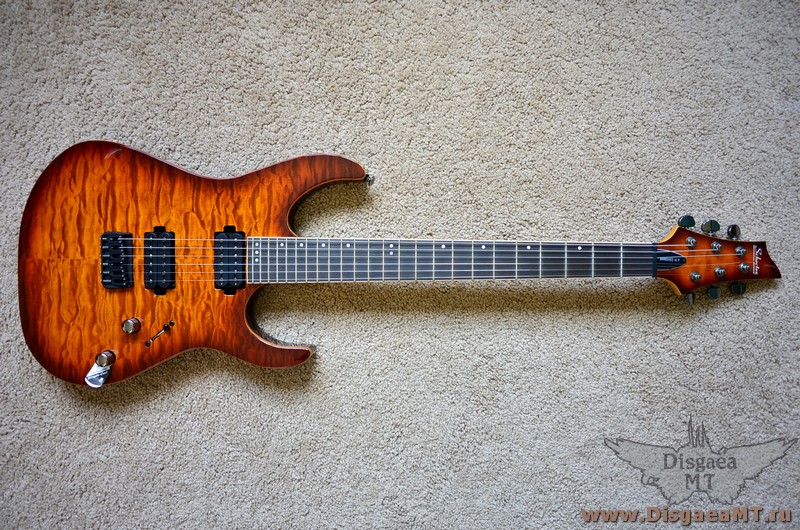Schecter_Banshee-6_Passive_1-FVSB_001
