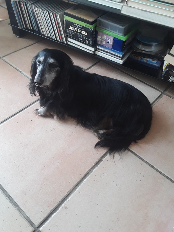 [Image: 20240507-144817.jpg]