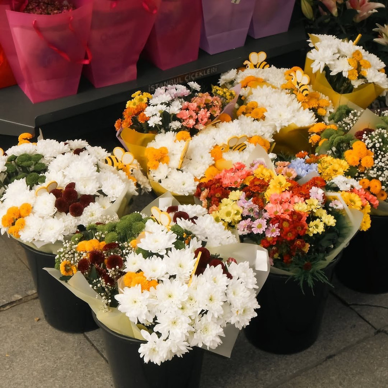 photo 24 2026 01 16 21 58 24