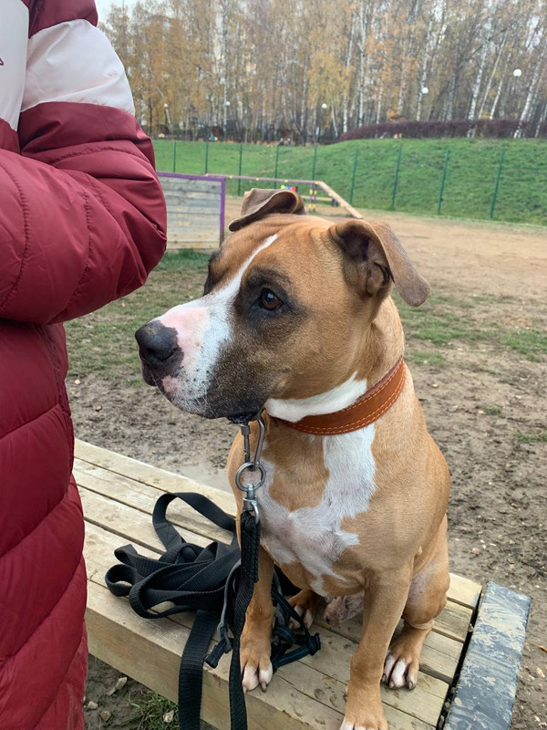 CE9A0100-17B5-415B-99B0-B5FE528C0FD9