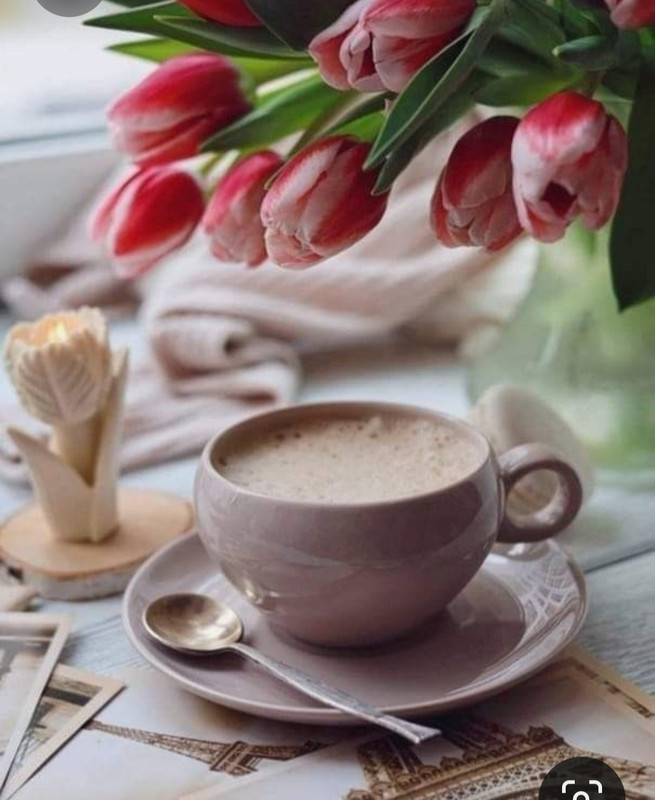 Screenshot_20230408_000440_Pinterest