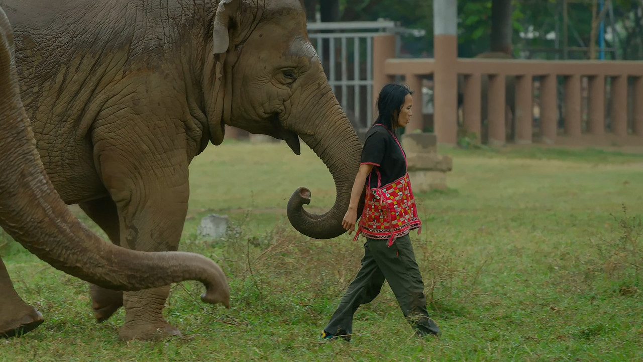 [HR] Thailand - Earth's Tropical Paradise S01E03 [BBC Two 1080p x265]_05