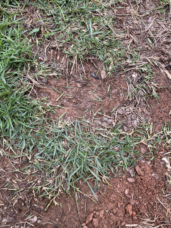 AEF98C12-D05A-4A5C-A96E-C6E8560DAE65