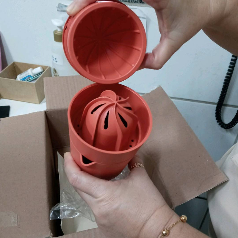 espremedor de laranja (2)