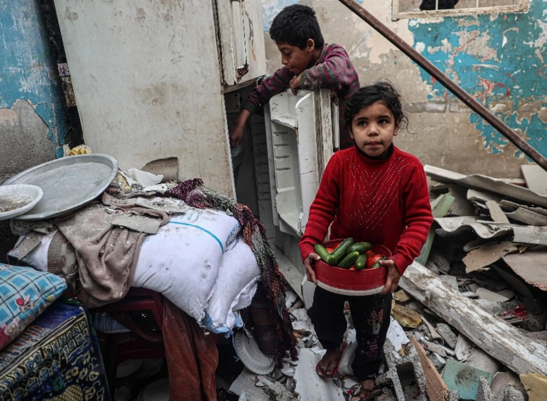 Niños en Gaza sobreviven con alimento para animales