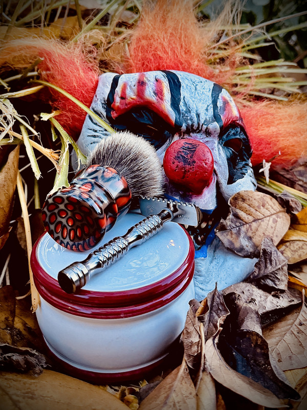 SOTD 20241030