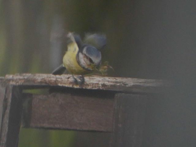 33E97C23-7CC6-46AB-9676-840CD56E9ADC