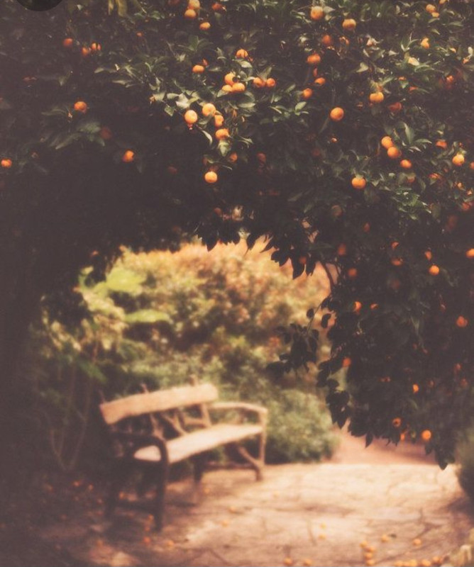 Screenshot_20231115_213424_Pinterest