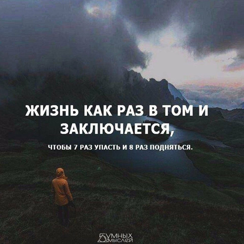 Жизнь как раз в том и заключается