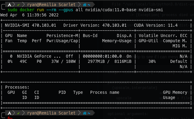 nvidia-smi working in the Cuda container