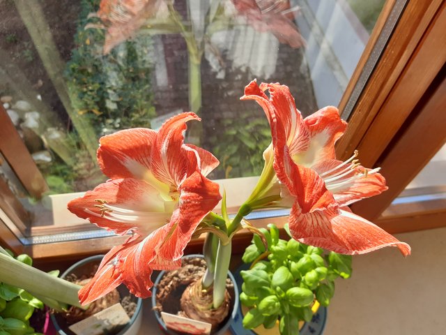 20210301-082926.jpg