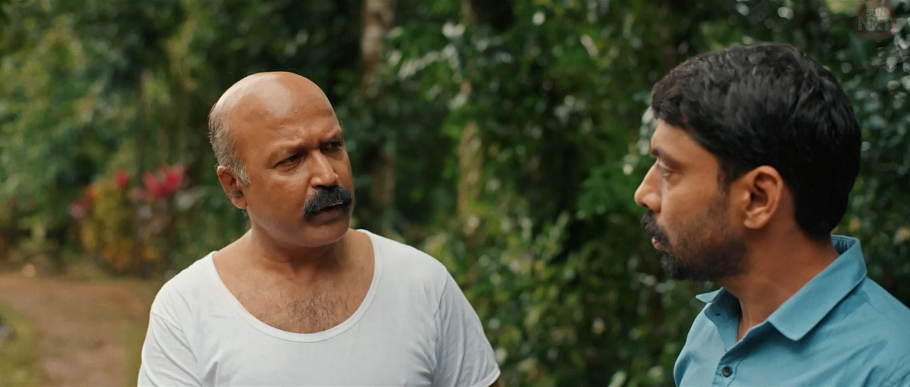 Surabhila Sundara Swapnam 2025 WebRip [Malayalam] 480p 720p ESub Screenshot