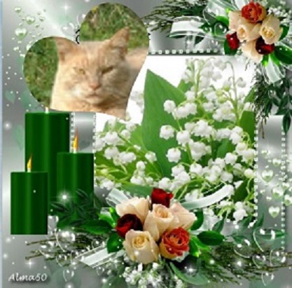 GROCHA MUGUET