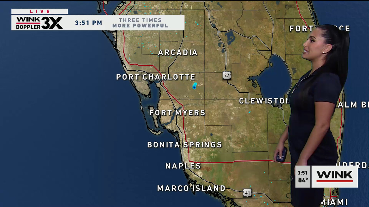 01.31 - 20.00.00 - WINK News at 3pm  ᴺᵉʷ..ts_snapshot_00.58.00.364