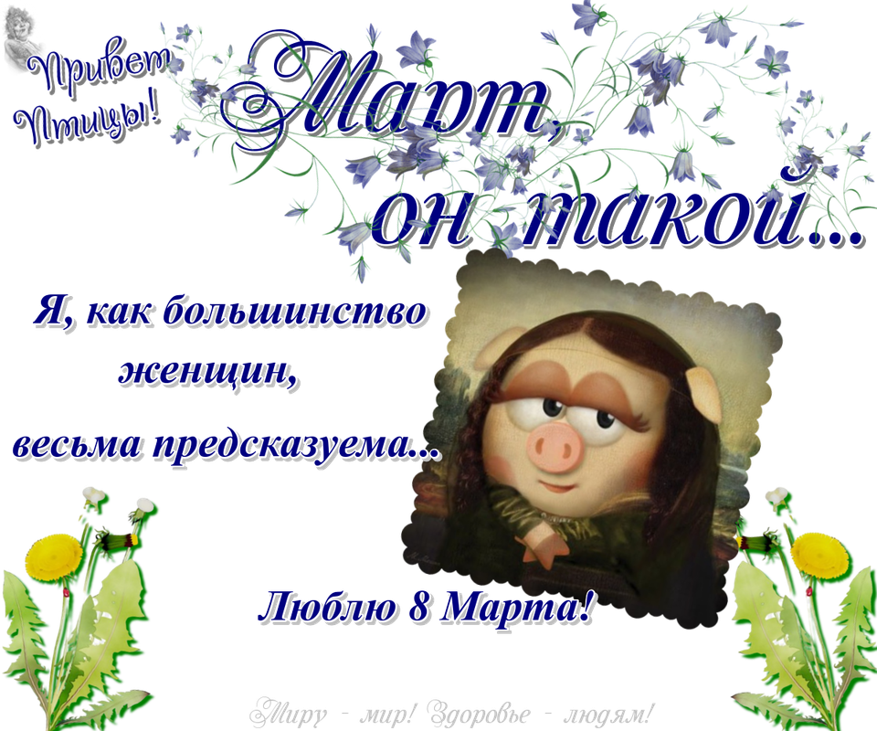 https://i.postimg.cc/6Q56rrxR/08-03.png