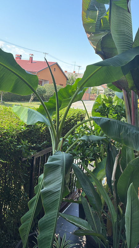 3E17D40C-A712-4036-A9BC-3E87AEBA14E4