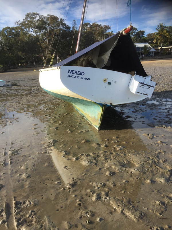 50F99480-1DA5-4549-831D-63F57ED610A4