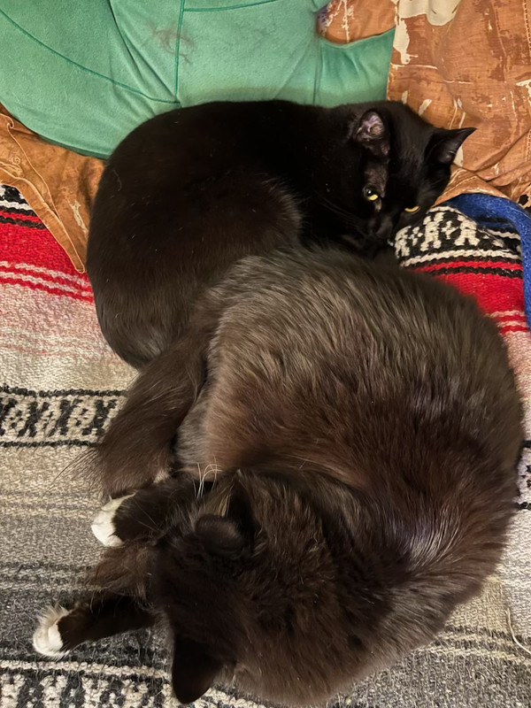 3luna