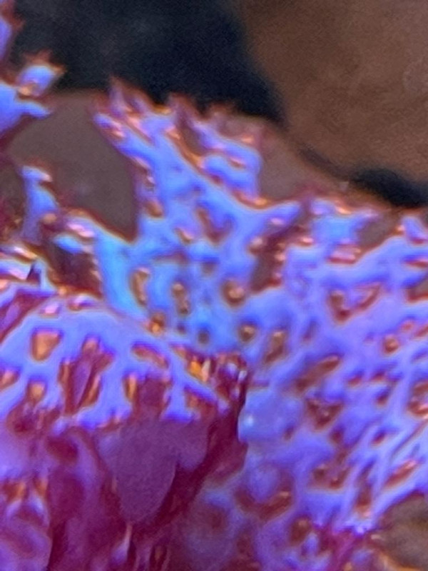 0431154D-98CF-4290-B688-E68AB9313AB6