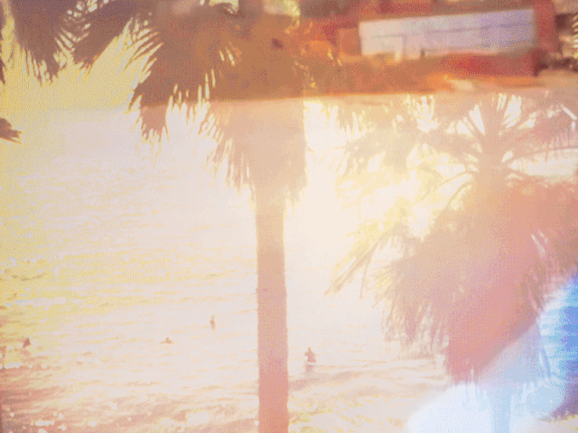 IMG-1271.gif