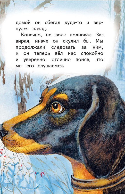 Kuprin-Aleksandr-Sapsan-2019-page-0066