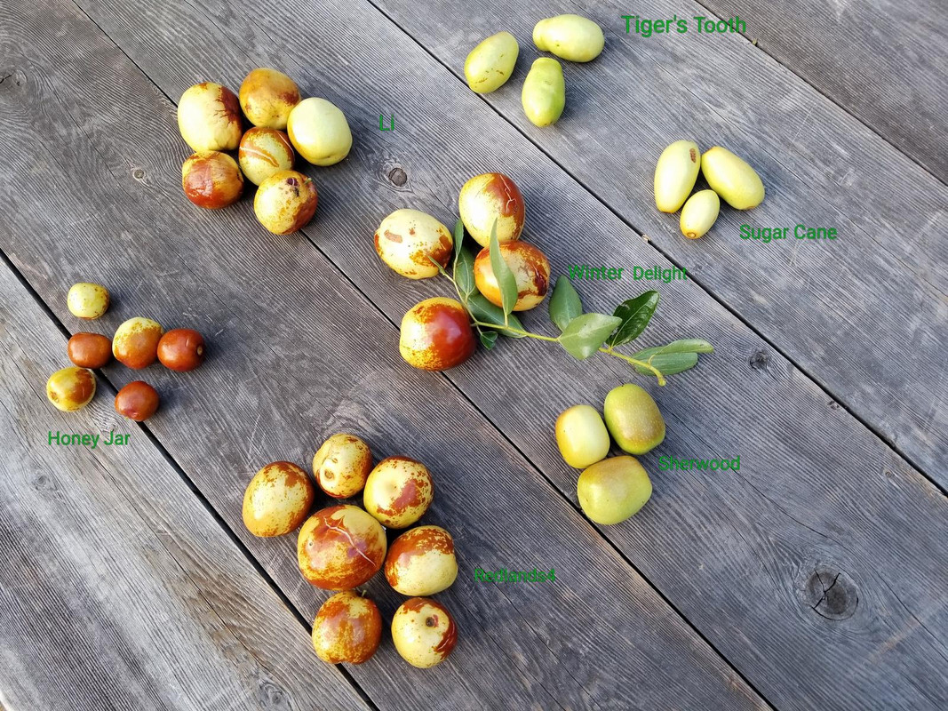 20170806_083611JuJuBe1