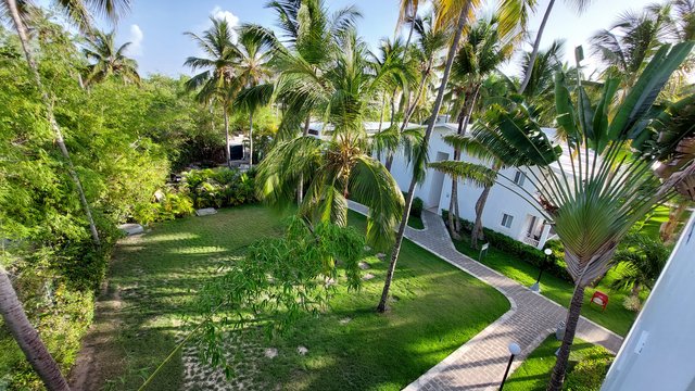 DIA 2 – HOTEL RIU BAMBU Y PARQUE ACUATICO - Hotel RIU Bambú + Isla Saona + RIU Party (5)