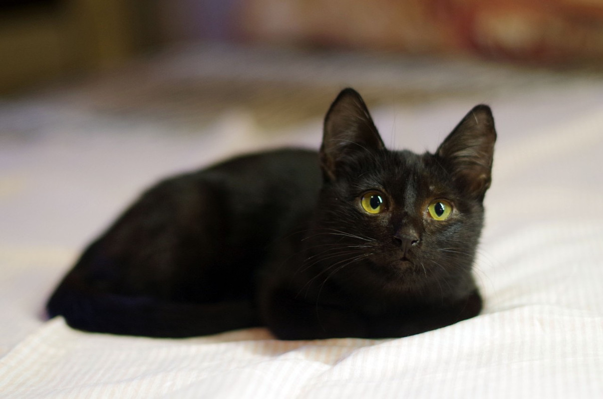 68DC2B99-ED92-44B2-B4E0-5A7ECA8A46A1