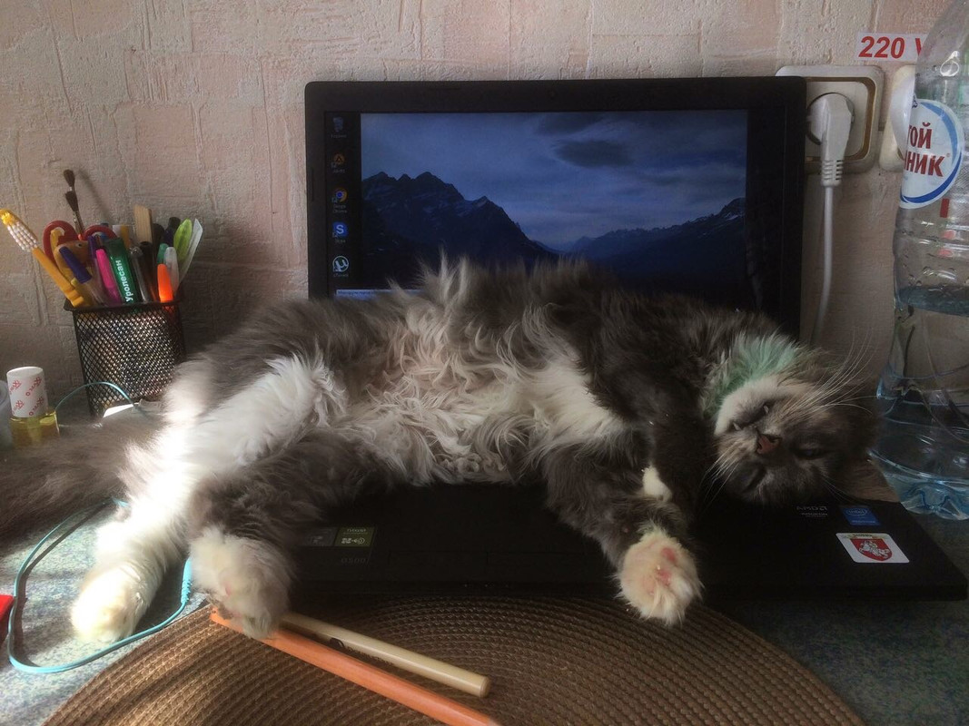 F92B6298-92CA-4D63-BDA0-5BDAEBCDC33A