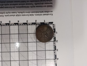 thumbnail_IMG_20240816_212245_395(1)