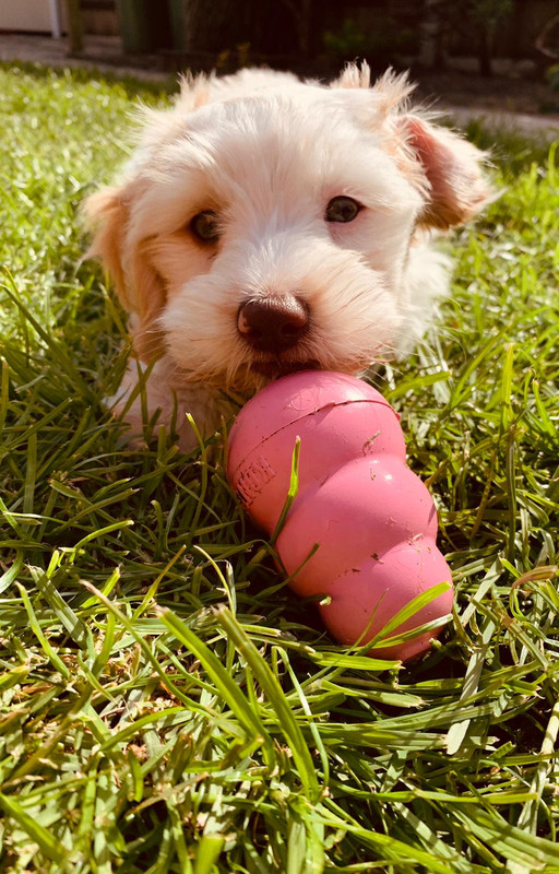 195D6A27-A405-467A-96DE-18C2C9B62FBF