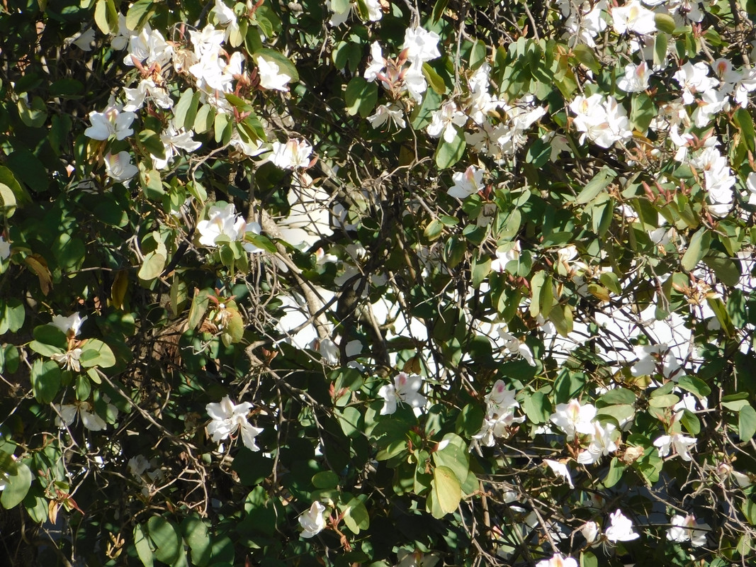 DSCN0637.jpg