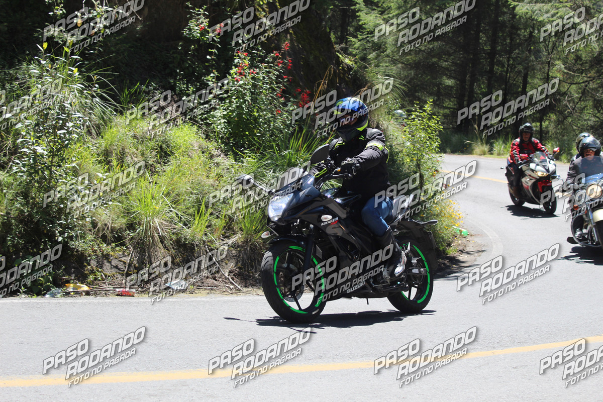 IMG 7342 wm 1176940 7 watermarked — Postimages