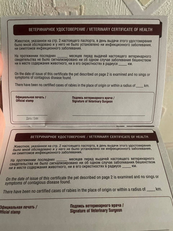 photo_2022-12-05_19-08-46