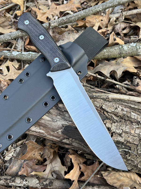 87BA67E2-E3E8-461C-AB68-40D1EEC8A709