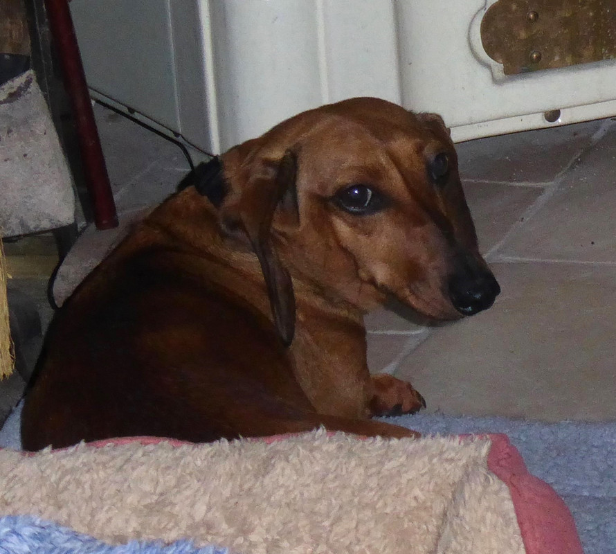 [Image: P1040176.jpg]