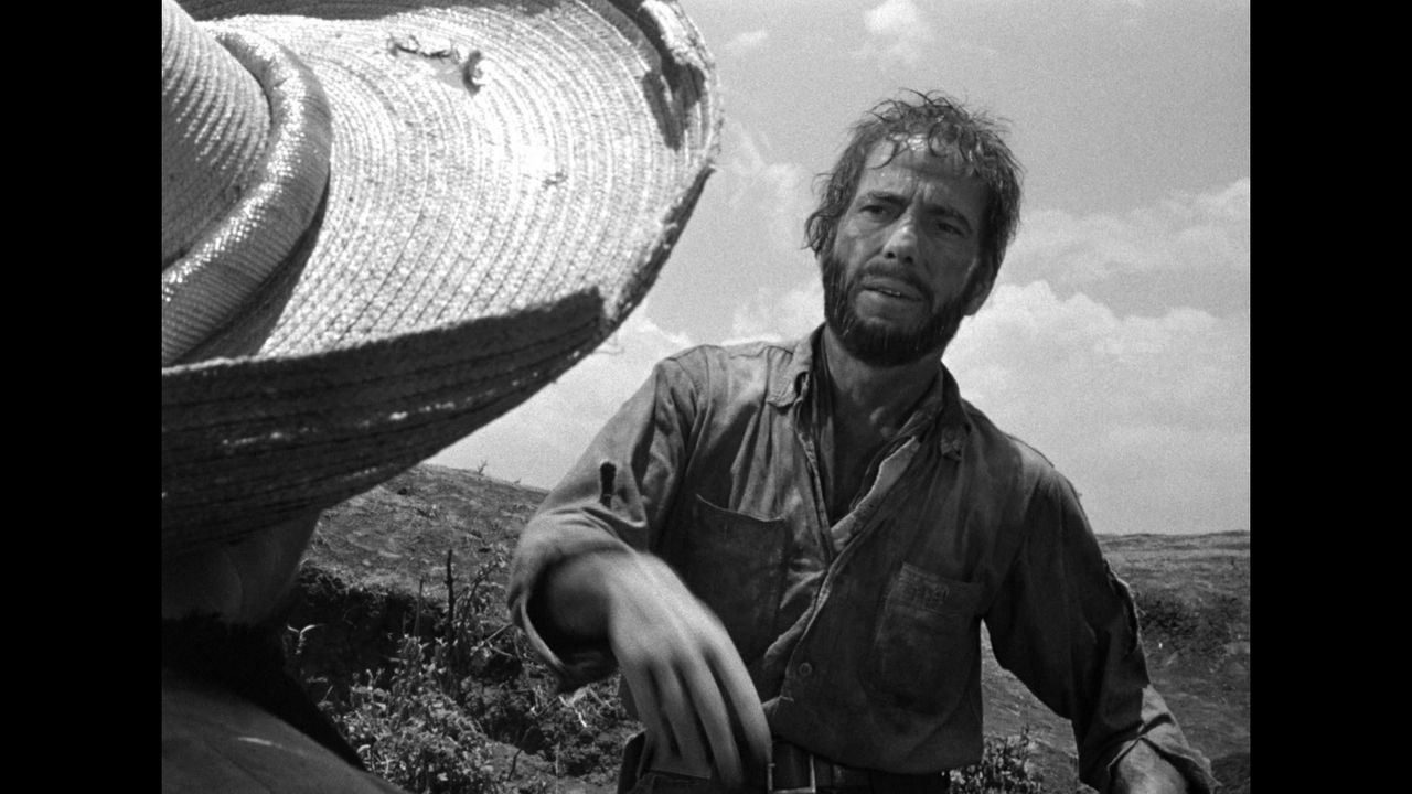 vlcsnap-2024-08-05-12h32m32s131