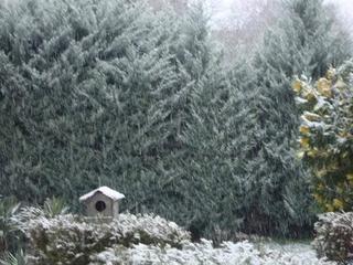 FB-IMG-1766987175378