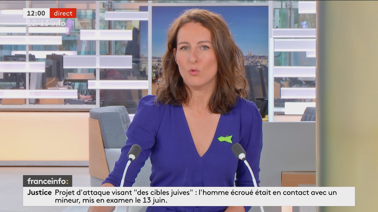 12-13 info week-end (Franceinfo)_2024_06_22_10_54_80.ts_snapshot_00.07.04.684